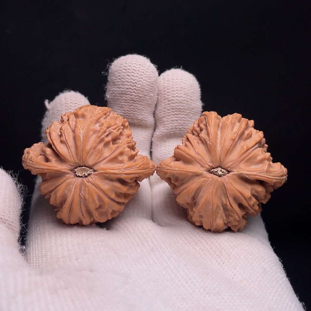 W33936994 Walnut, total weight about 39.1g, size about 41.2mm