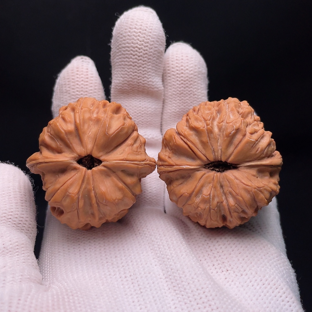 W34988121 Walnut Total weight approx. 35.92g Size approx. 39.4mm