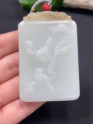 H28215047 Delight is Visible on the Face