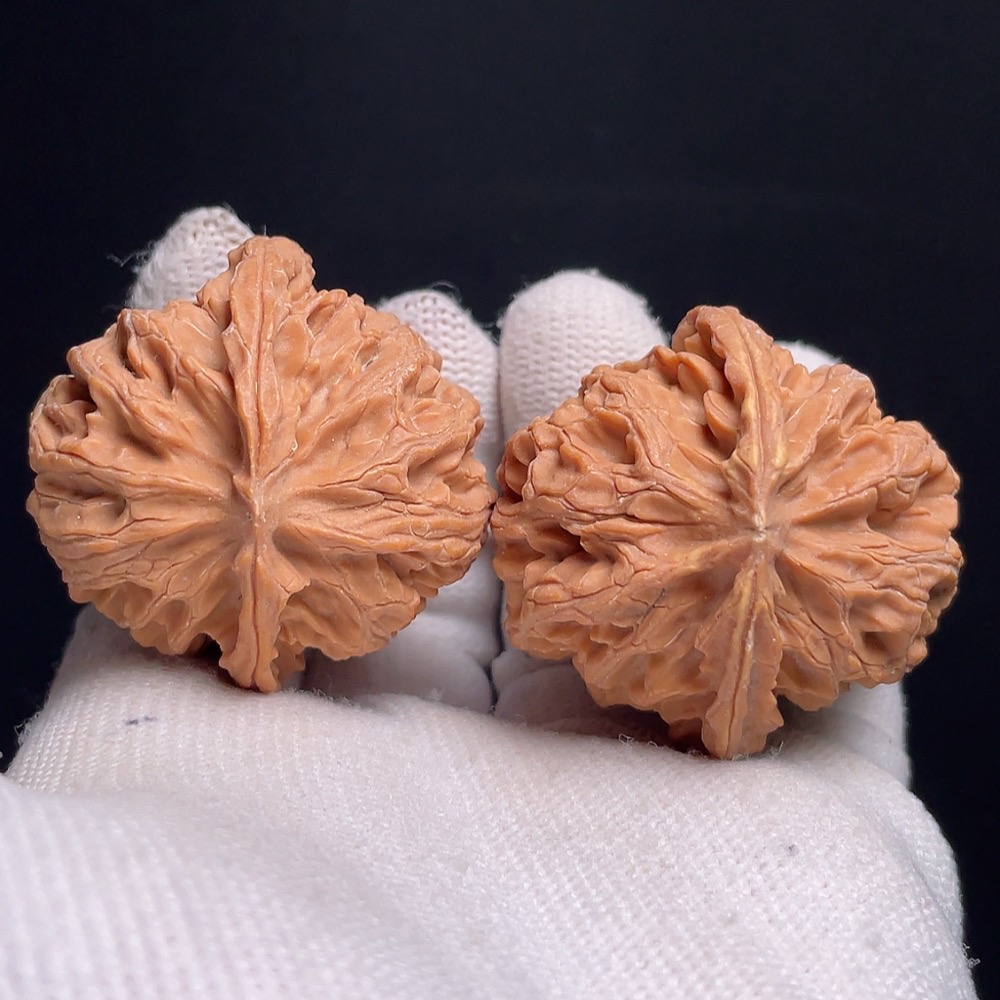 W23652385 Apple Orchard Walnut, Total Weight Approx. 34.6g, Size 37.8mm