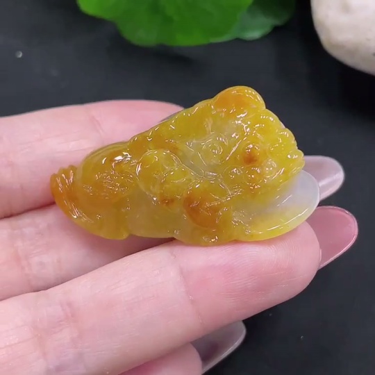 F34032326 Jadeite Tri-leg Golden Toad Pendant