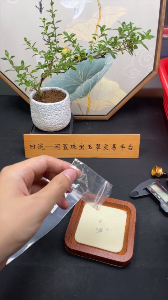 F31643732 Jadeite Cabochon Sell as a Lot